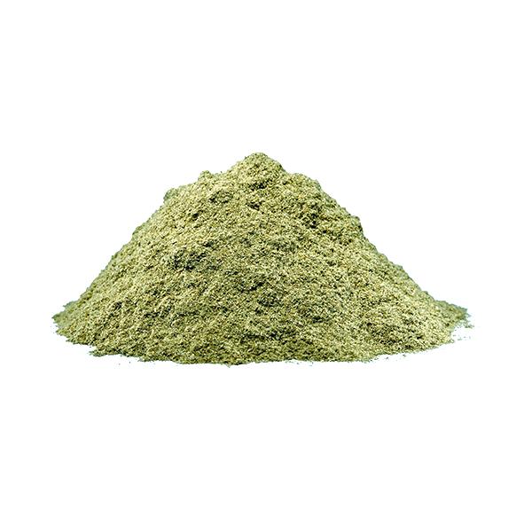 Wasabi Pulver 1kg. pose